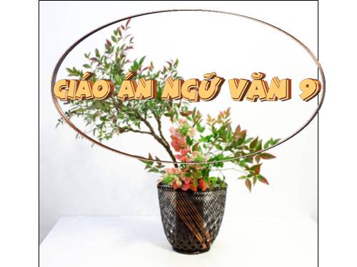 Chu dong dep 8 Trang tri bia G.A NV THCS
