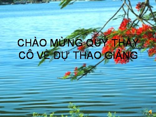 Đám tang lão Gôriô ( Tiết 1) - Thao giảng