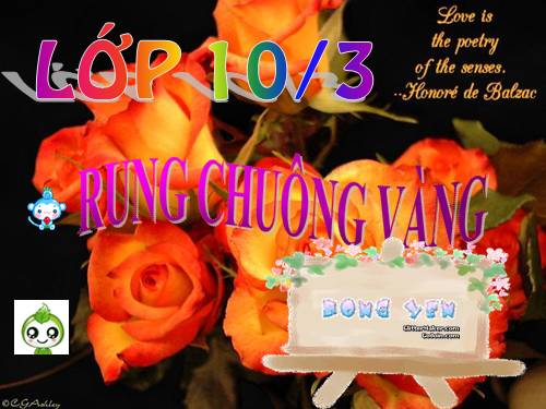 RUNG CHUONG VANG (NEW)