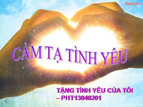 Cảm tạ tình yêu