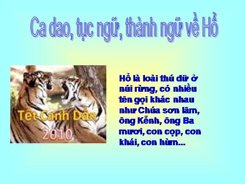 Ca dao, thành ngữ năm Hổ