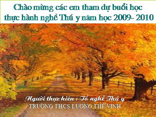 thực hành 2 nghe thú y ( tập gọi tên thuốc )