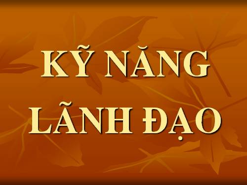 kỹ năng lãnh đạo