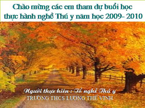 Bài thực hành 1nghe thú y