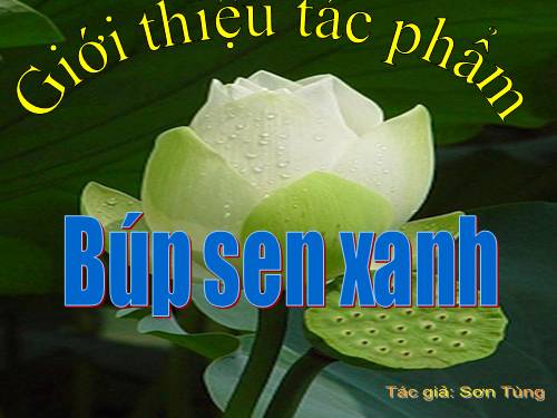 GIỚI THIỆU SÁCH: BÚP SEN XANH