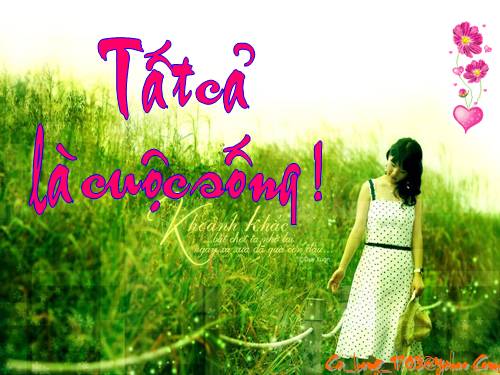 Tất cả là cuộc sống! - THAO_DTNT