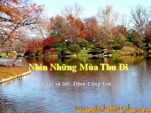 Nhìn những mùa thu đi