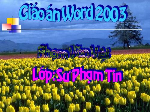 Giáo Án Word