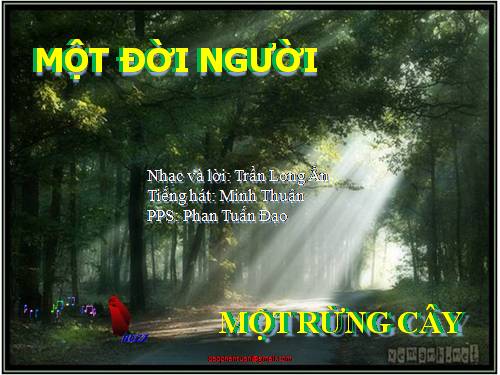 Một đời người -một rừng cây