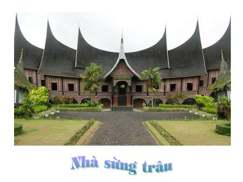 NHA SUNG TRAU