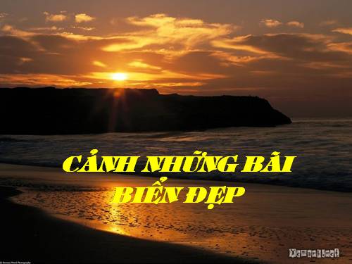 Nh­ung cảnh biển đẹp