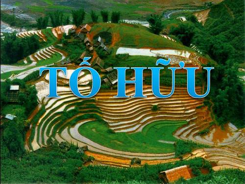 tác giả tố hữu