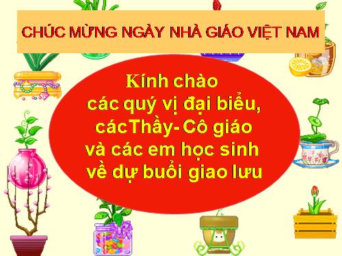 Ngoại khóa Văn học 20-11