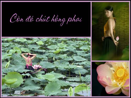 Còn đó chút hồng phai