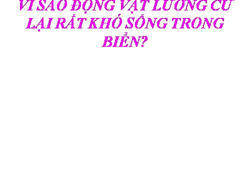 Vì sao động vật Lưỡng cư rất khó sống trong biển