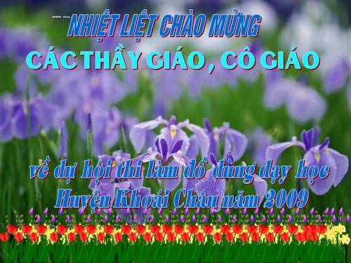 Chan dung cac tac gia ngu van lop 9