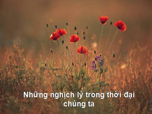 nghịch lý cuộc đời