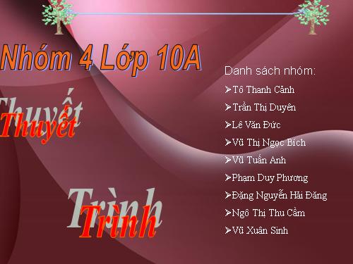 NGUYỄN DU_Thuyết trình