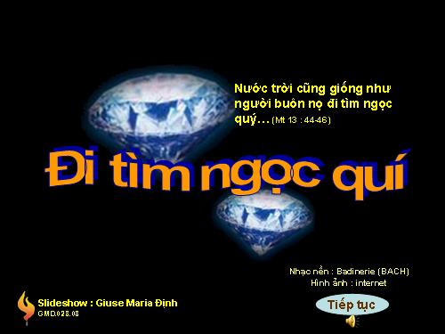 Đi tìm  ngọc quí