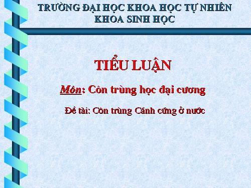 côn trùng cánh cứng ở nước