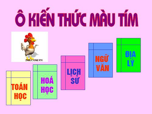 TRI THUC TUOI HONG 6