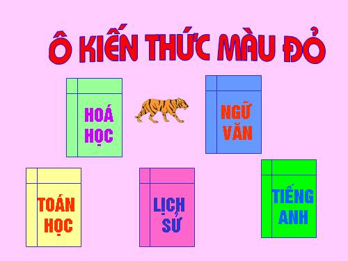 TRI THUC TUOI HONG 4