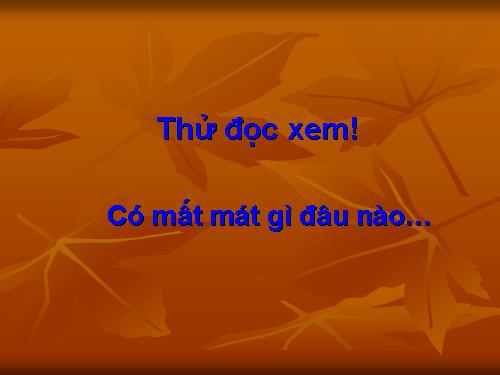 doc thu xem co mat gi dau nao !