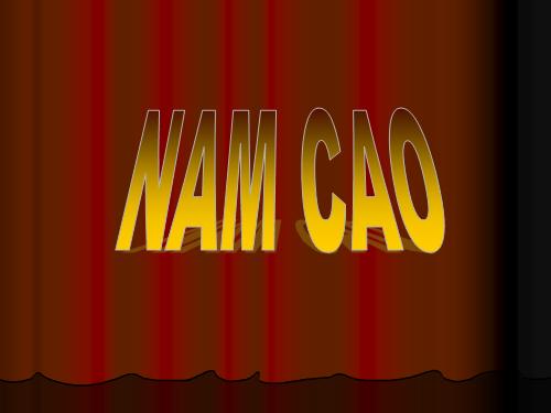 Nam Cao (hay)