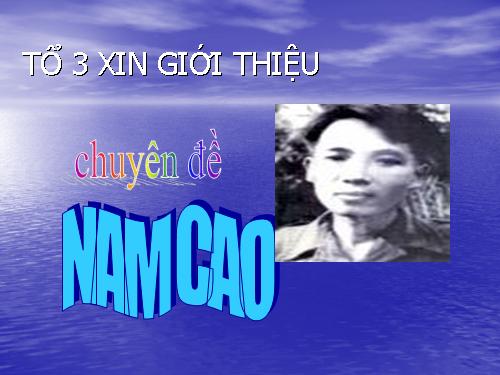 chuyên đề nam cao