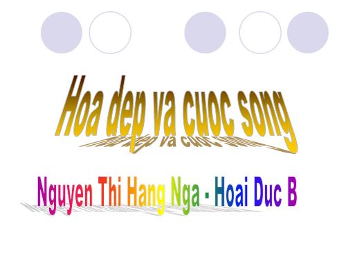 hoa dep va cuoc song