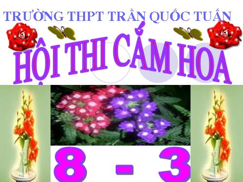 thicamhoa