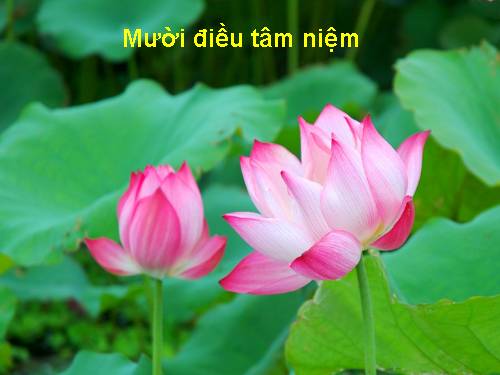 XK: Mười điều tâm niệm