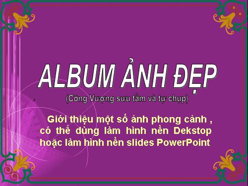 Album ảnh đẹp 2