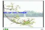 Bài tập trắc nghiệm