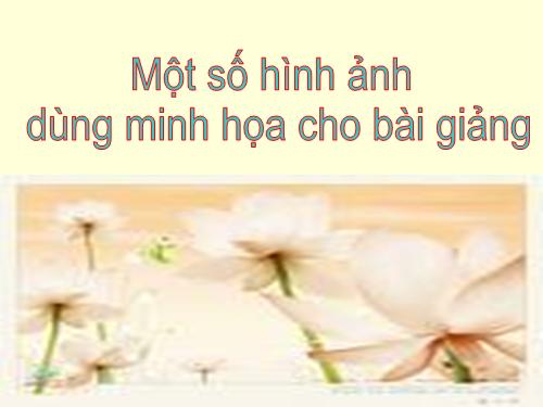 Hình ảnh minh họa