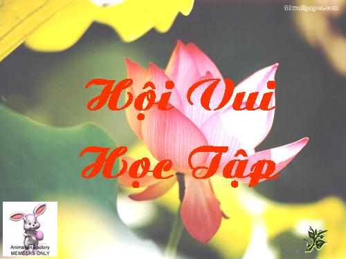 Hội vui học tập