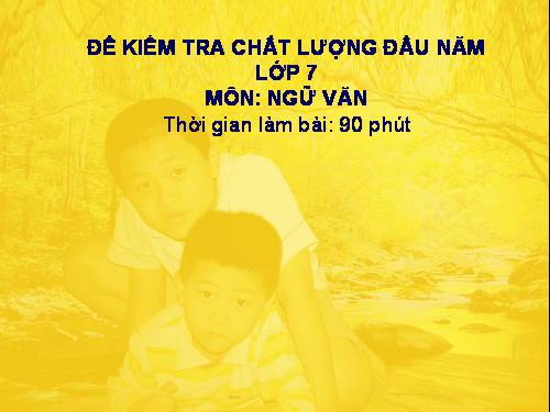 Trac nghiem lop 7-khao sat dau nam