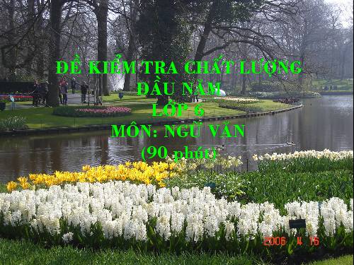 De khao sat chat luong dau nam
