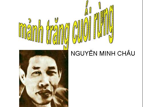 Mảnh trăng cuối rừng (3)