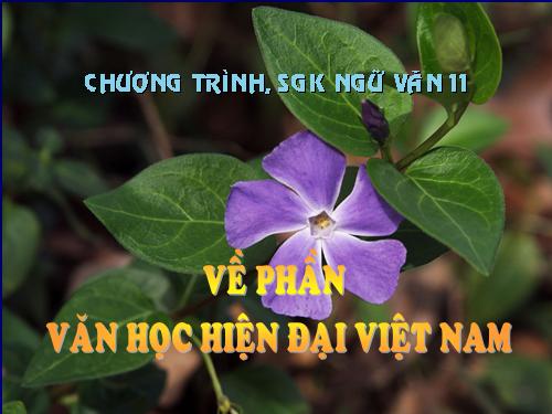 Chương trình văn học Việt Nam hiện đại