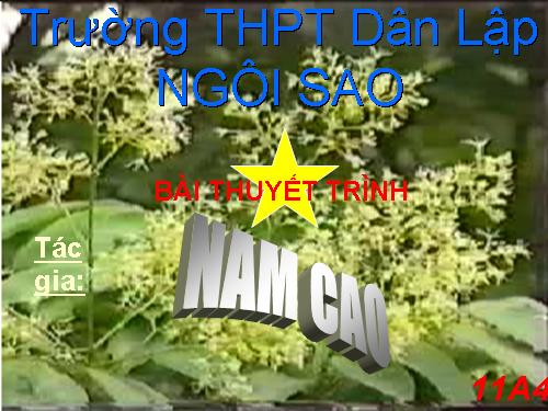 Giới thiệu tác giả Nam cao