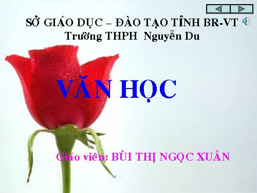 Những nỗi lòng tê tái