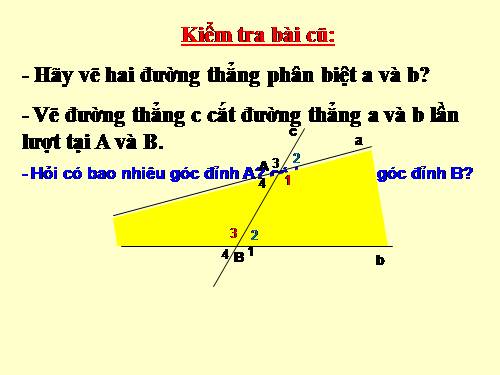 Chương I. §3. Các góc tạo bởi một đường thẳng cắt hai đường thẳng