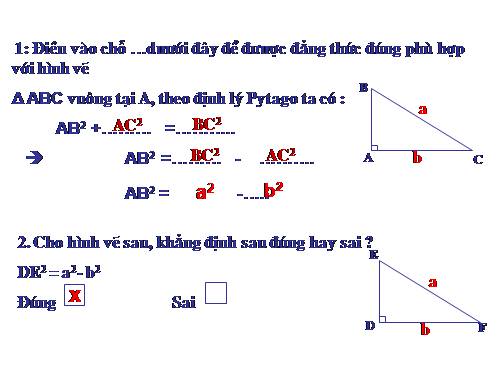 Chương II. §8. Các trường hợp bằng nhau của tam giác vuông