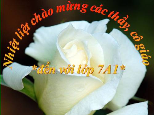 Chương II. §4. Trường hợp bằng nhau thứ hai của tam giác: cạnh-góc-cạnh (c.g.c)