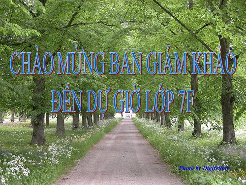 Ôn tập Chương III. Quan hệ giữa các yếu tố trong tam giác. Các đường đồng quy của tam giác