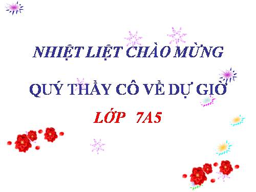 Ôn tập Chương I. Đường thẳng vuông góc. Đường thẳng song song