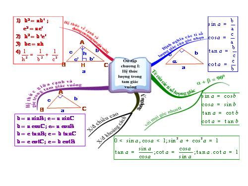 Chương II. §1. Tổng ba góc của một tam giác