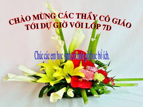 Chương II. §1. Tổng ba góc của một tam giác