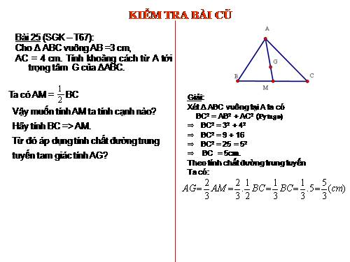 Các bài Luyện tập